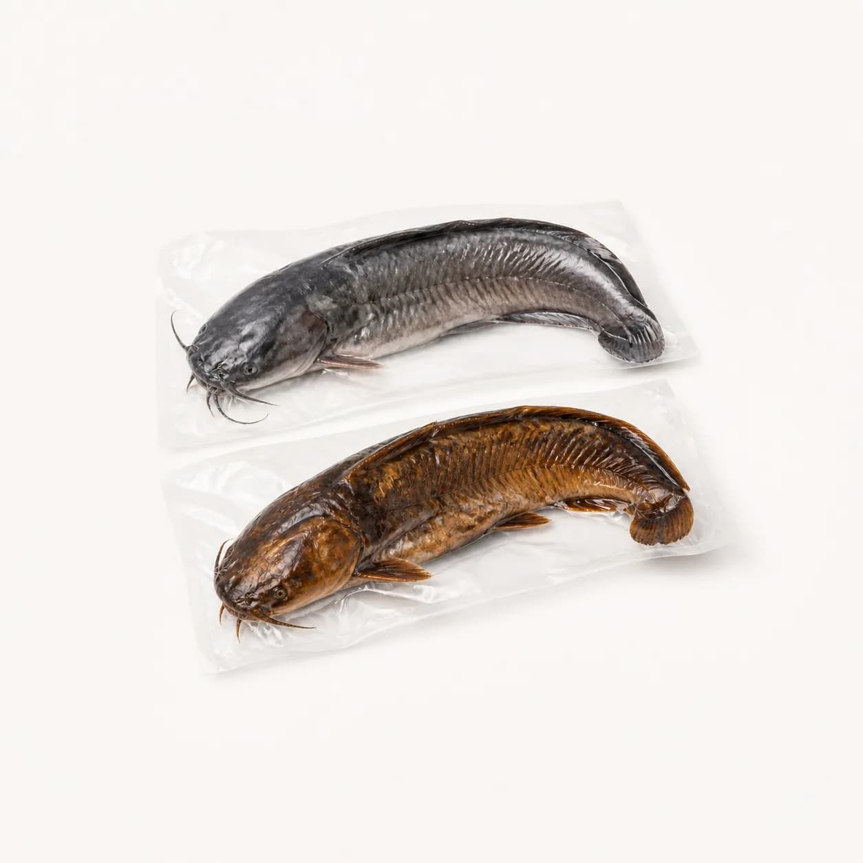Catfish (fresh / smoked)