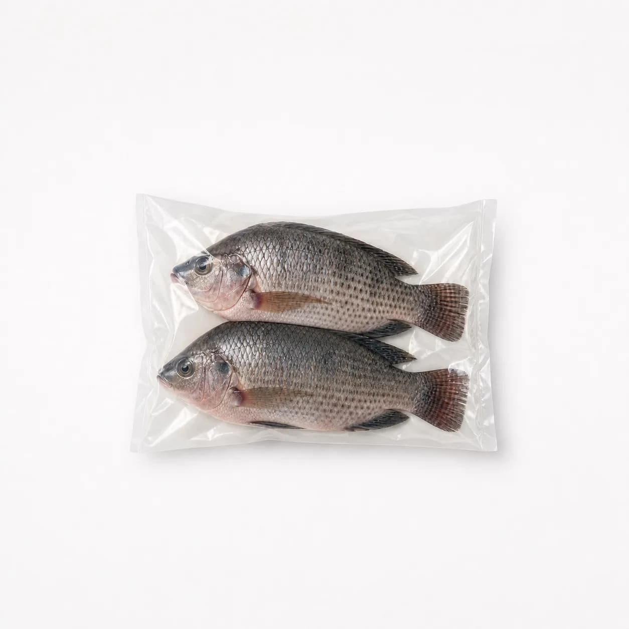 Tilapia (whole)